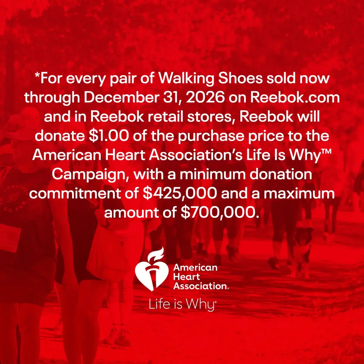 Chaussures Active Lite