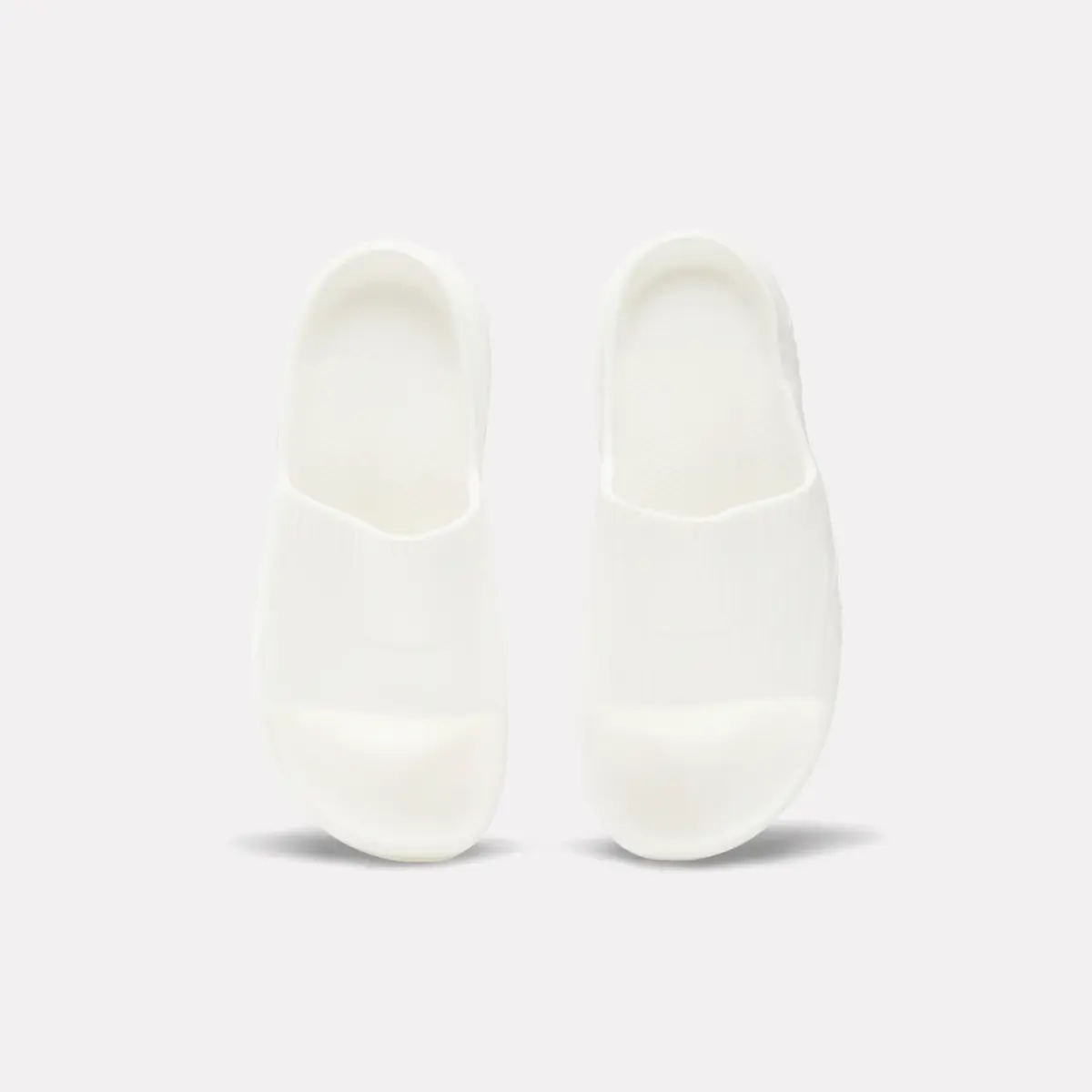 DMX Recovery Slides DMX Recovery Slides